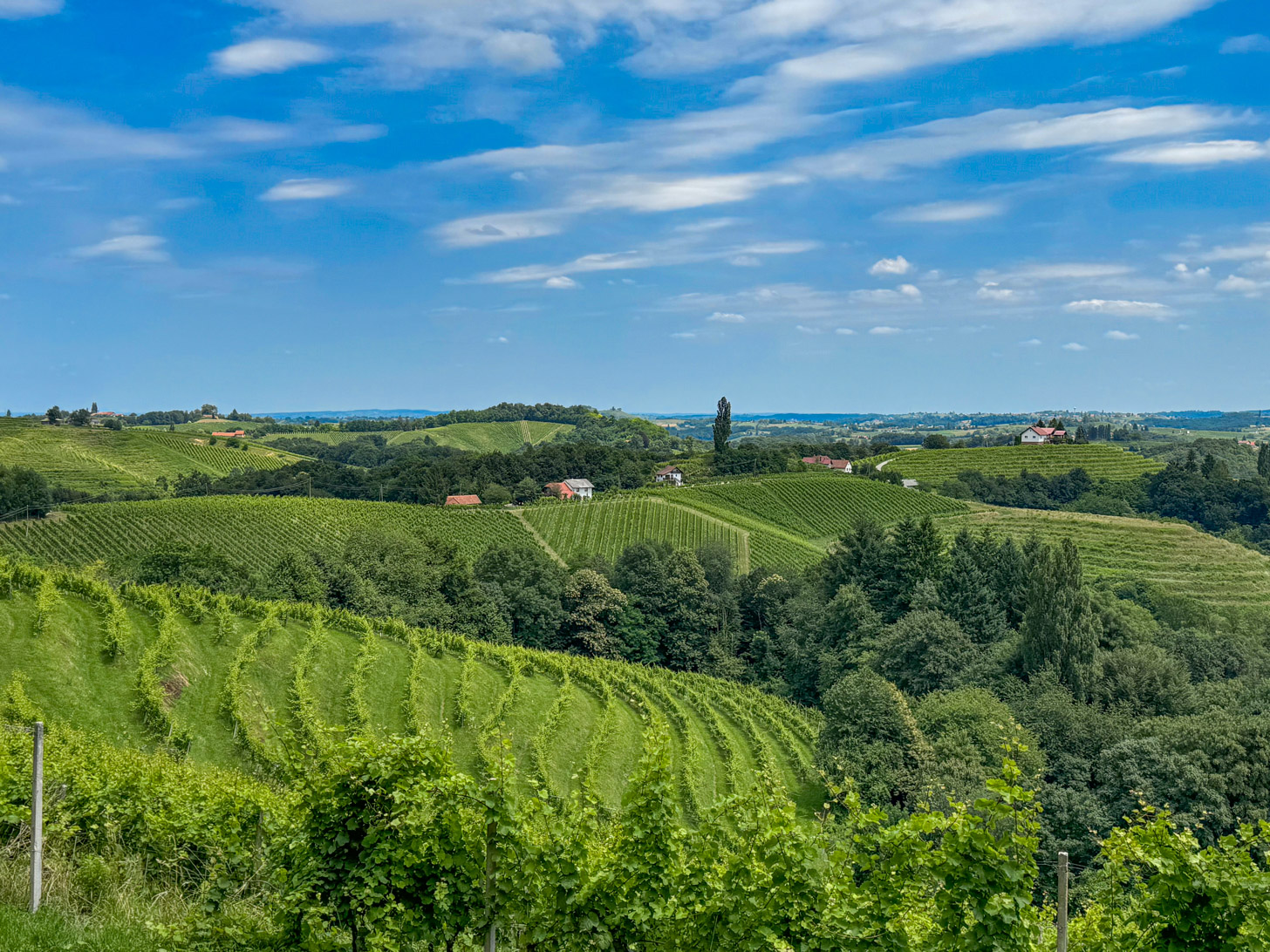wijngaarden in Slovenië